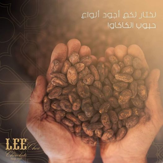 شوكولا ليي-LEE chocolate